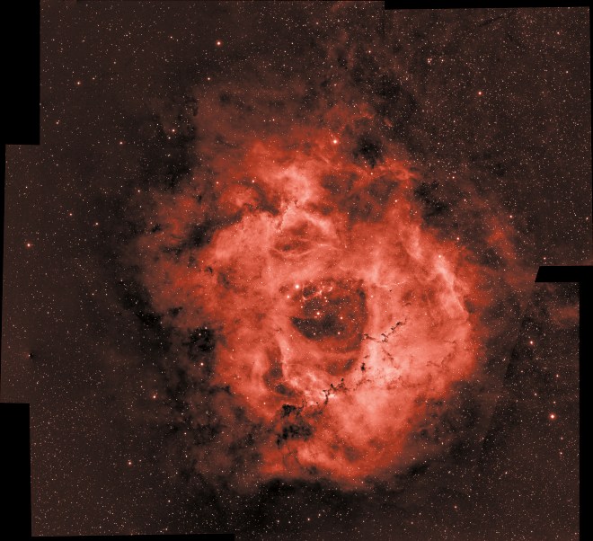 Rosette Nebula Cropped