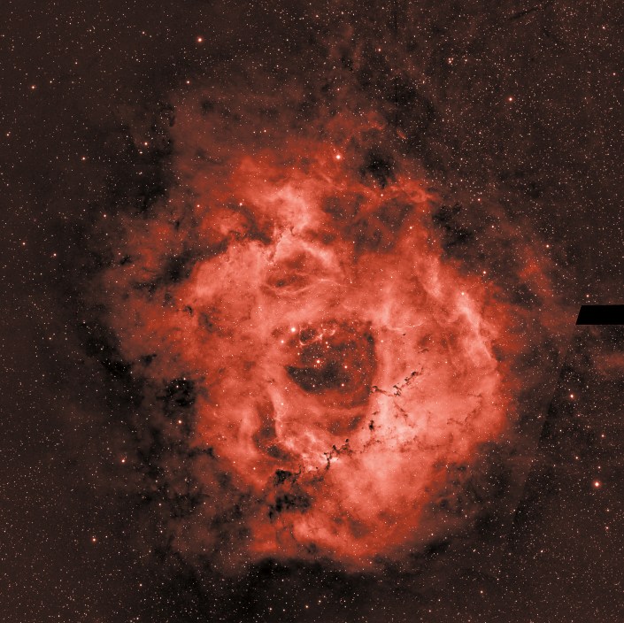 Rosette Nebula colorized