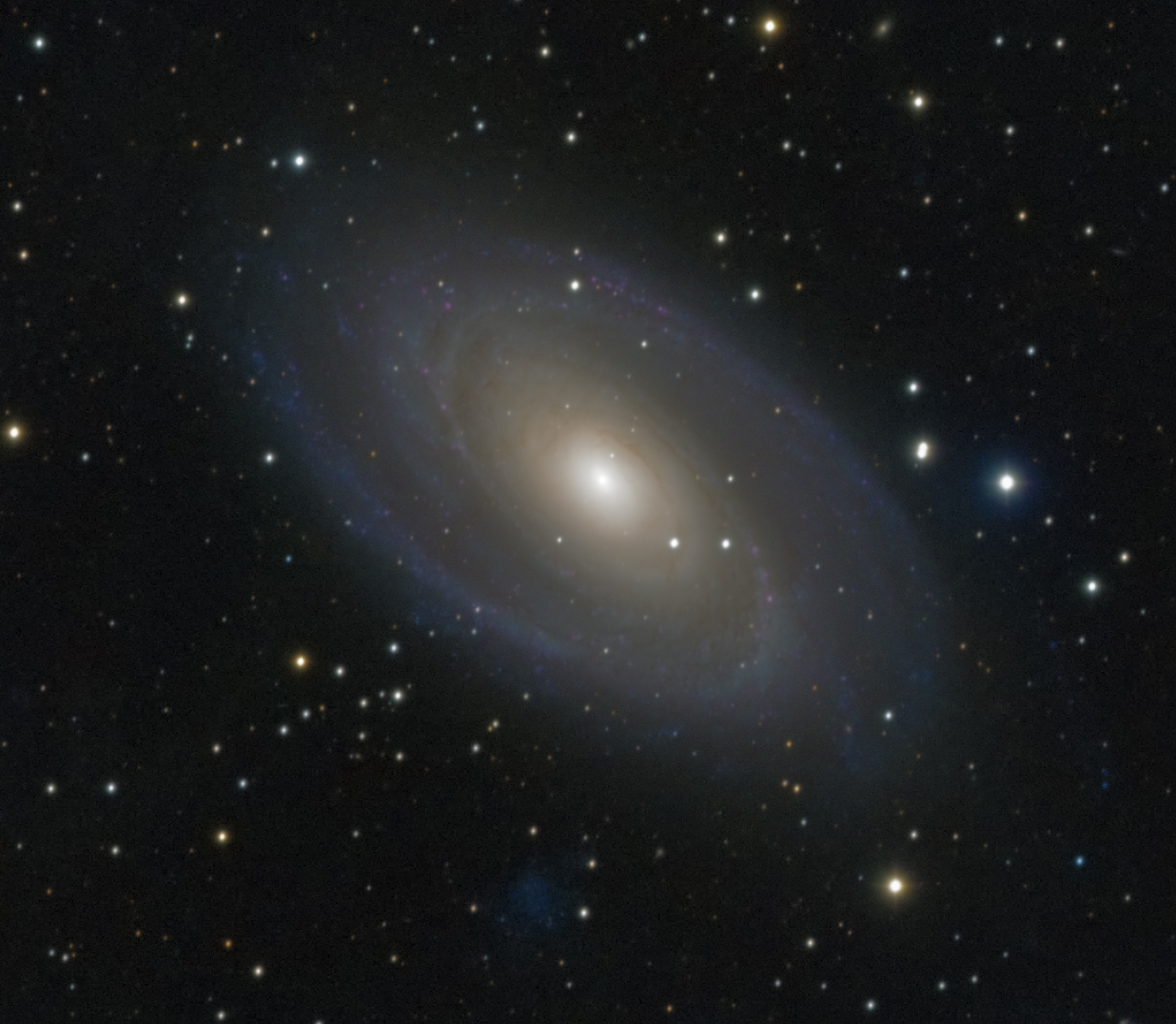 m81