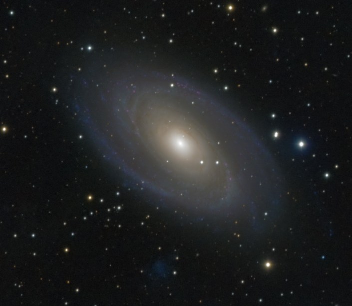 m81