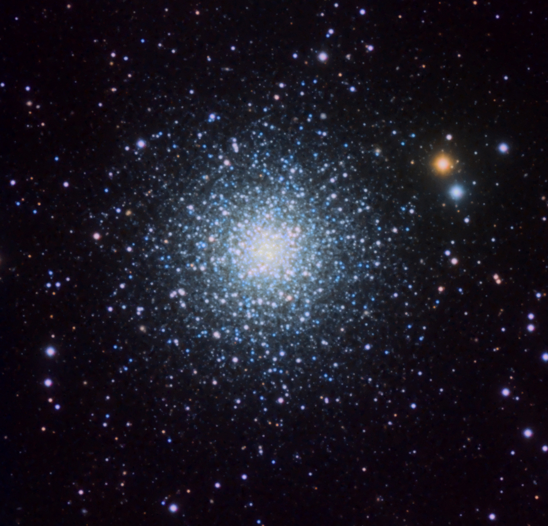 M53c